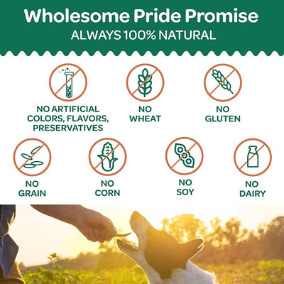 Wholesome Pride Healthy Sweet Potato Chews – Sensitive Stomach Dog Treats, No Preservatives, Single-Ingredient, No Grain, 8 oz