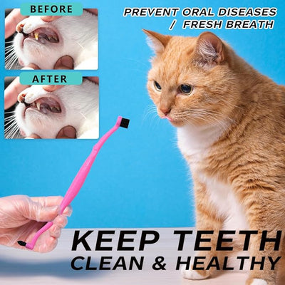 Dual Sided Cat Toothbrush Dog Toothbrush Finger Brush Micro Head to fit into Small to Large Dogs & Cats (Black, Small)