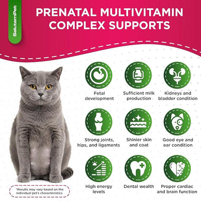 Dog Prenatal Vitamins for Moms During Lactating – Prenatal Vitamins for Dogs & Cats of All Breeds to Care for Pet Development – Multivitamin for Cats – 2 Oz – Herbal Supplement for Pets