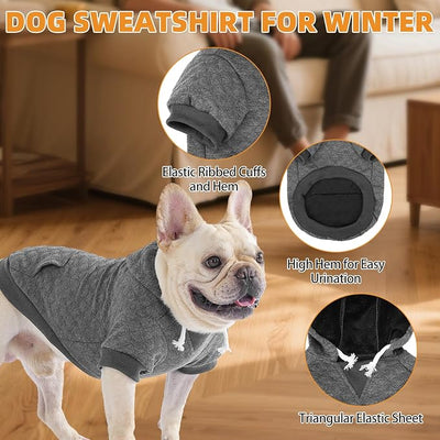 KOOLTAIL Small Dog Sweater, Ultra-Warm & Soft Winter Fall Sphynx Cat Clothes for Cats Only, Lightweight Dog Hoodie Sweatshirt for Small Dogs Boy Girl Yorkie, Chihuahua, Shih-Tzu, Puppy, Gray XS