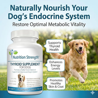 Thyroid Supplement for Dogs, Support for Hypothyroidism in Dogs with Organic Bladderwrack, Promotes Normal Function of Endocrine and Enzyme Systems, 120 Chewable Tablets