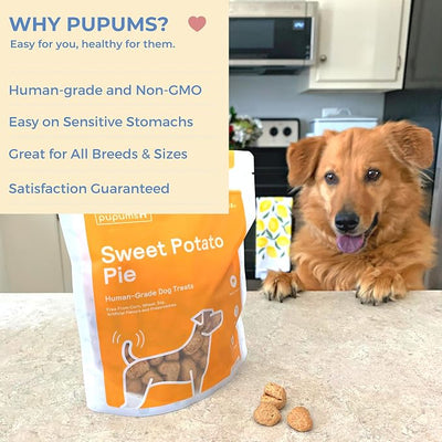 Sweet Potato Dog Treats Organic Grain Free Non-GMO Highly Digestible Dog Biscuits Made in USA (24oz)