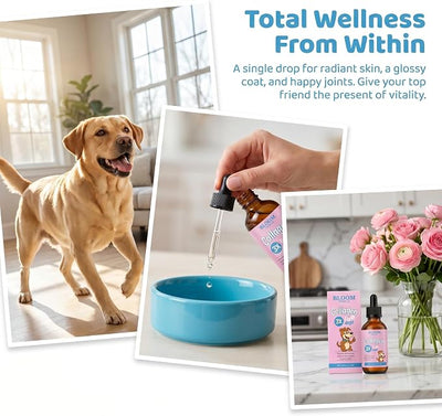 Collagen for Dogs, Premium Liquid Collagen for Dogs, Support for Skin & Joints & Gut & Overall Vitality, 60ml/2floz