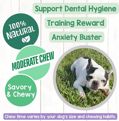 Nature Gnaws Extra Thin Pork Bully Sticks for Small Dogs 5-6" (50 Count) - Long Lasting for Light Chewers and Puppies - Natural Bacon Dog Chew Treats