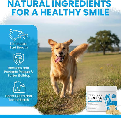 Advanced Dog Dental Powder 4oz - Teeth Cleaning, Tartar, & Plaque Remover | Aids Bad Breath, Biofilm, Gum, and Tooth Health - Made with Brown Algae, Kelp, Parsley, and Green Tea