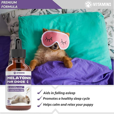 Melatonin for Dogs | Dog Melatonin | Melatonin for Dogs Sleep | Sleep Aid for Dogs | Dog Sleep Aid | Dog Calming | Calming for Dogs | Dog Calming Treats | Dog Anxiety Relief | (2 Pack)