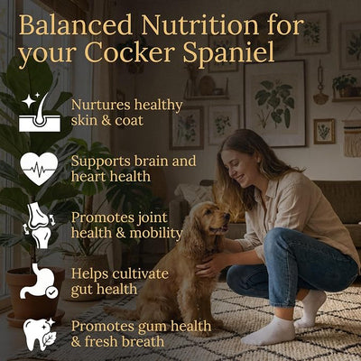 Cocker Spaniel Multivitamins, 90 Count, Made in the USA with Real Bacon.