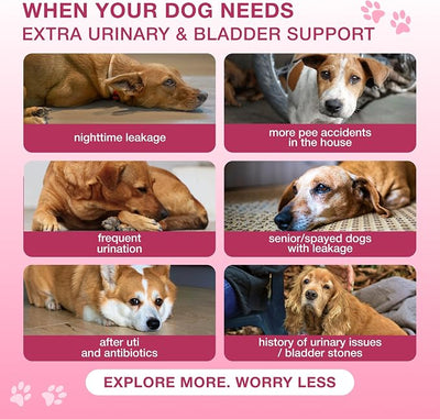 Dog UTI Support Chews with Cranberry & D-Mannose – Cranberry Supplement for Dogs, Urinary Tract & Bladder Support for Dogs, Dog Bladder Control, Kidney Health, Soft Duck Chews, 120 Bites