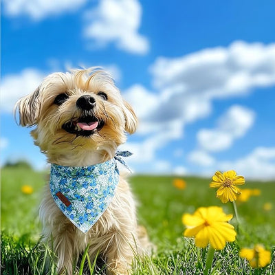 Blueberry Dog Bandana - Soft Blue Spring Summer Dog Neck Scarf, Cute Pet Bib for Puppy Kitten, Playful Photo Dogs Cats Prop for Daily Use Parties & Pet Photography S