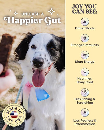 Bundle x Joy Rise & Shine Dog Treats Chicken Jerky Snack Bars, 2 LB Bag, Puppy and Training Treats, Natural Superfood Grain Free Made with Real Chicken, Superfoods, Corn Free & Soy Free