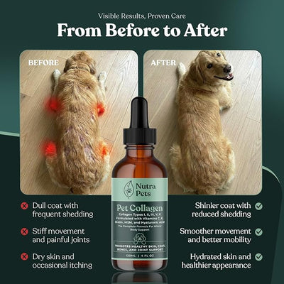 Premium Liquid Collagen for Dogs & Cats | 5 Types of Collagen (I, II, III, V, X) | Supports Skin, Coat, Hips, Joints, & Bones | Allergy and Itch Relief | Biotin, Hyaluronic Acid, Vitamin C