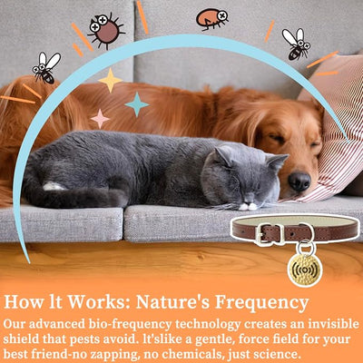 Shield Tag, Natural Flea & Tick Prevention Repellent Collar Pendant for Dogs & Cats –12-Month Water-Resistant Biomass Energy– Gift Ready (One Size- 2packs)