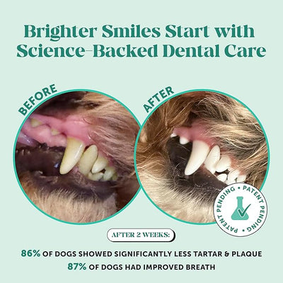 Dog Breath Freshener Dental Powder - Teeth Cleaning Plaque Off + Tartar Remover for Dogs - Care Supplement Food Topper with Kelp, HMP + Postbiotics for Healthy Gums - Mint Flavor (30 Servings)