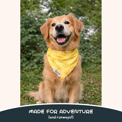 Snap-On Dog Bandana for Small Medium Large Pets, Dogs Cats Adjustable Handkerchief Scarf for Girl & Boy, Funny Cute Puppy Apparel & Accessories (Sunny, X-Large)