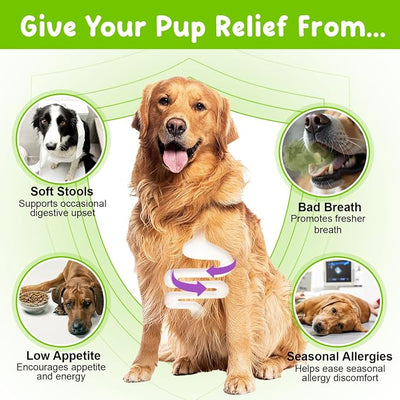 Probiotics for Dogs, 3-in-1 Liquid Probiotics Supplements, Dog Probiotic for Digestive & Gut Health, Fast Acting for Constipation, Diarrhea and Gas with Prebiotic & Digestive Enzymes