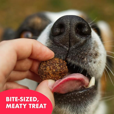 Buddy Biscuits Meaty Meatball Bites Dog Treats, BBQ Beef, 7 oz. Bag