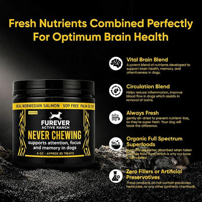 Furever Active Pet Neuro Chewing, Formulated with Organic Carrots, Celery, Lemon, Beets, Support Brain Health in Dogs, Overall Cognitive Performance, Memory and Alertness | 6oz, 85 Chews (1)