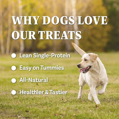 AFreschi Buffalo Dog Treats, All-Natural, High Protein, Low Fat, Human Grade Puppy Chews – Healthy Grain-Free Training Treats, 12oz Jerky Strips