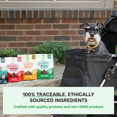 Open Farm, Be Good Bites, Soft Dog Training Treats, Small & Chewy, Made with Ethically & Sustainably Sourced Ingredients, Non-GMO Fruits & Grains, Chicken Recipe, 6oz Pouch