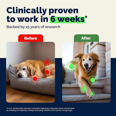YuMOVE Dog Hip & Joint Supplement, Regular or Advanced Strength - ActivEase Green Lipped Mussel, Glucosamine, Hyaluronic Acid & Omega 3 - Chewable Tablets (240ct Chewable Tablets, Advanced Strength)