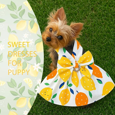 Dog Dress Bowknot Harness Leash Set for Small Girl Dogs Yellow Lemon Dog Cat Clothes Cute Puppy Outfits Pet Clothes Spring Summer Breathable Dresses(Large)
