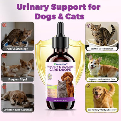 Cat & Dog Urinary Tract Support Drops, Cranberry Supplement for Dogs & Cats, Bladder & Kidney Health Liquid with Dandelion, Turmeric, L-Lysine, Taurine & Vitamins, Chicken Flavor, 2 fl oz