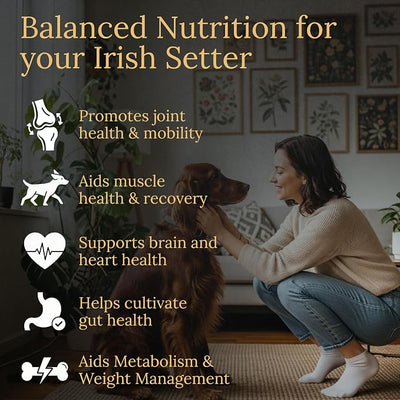 Irish Setter Multivitamins, 90 Count, Made in the USA with Real Bacon.