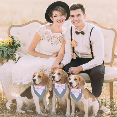 ADOGGYGO Formal Dog Tuxedo Wedding Pet Bandana Collar with Bowtie, Adjustable Birthday Wedding Formal Tux Costumes for Small Dogs Pets (S, Grey)