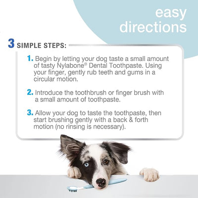 Nylabone Advanced Oral Care Tartar Control Dog Toothpaste Original 2.5 oz. (1 Count)