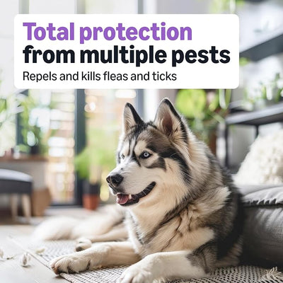 Amazon Basics Flea and Tick Topical Treatment and Prevention for Large Dogs (45-88 lbs), Fast Acting and Long Lasting, 3 Count, Packaging May Vary
