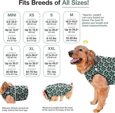 BellyGuard Dog Surgery Recovery Suit, Post-Op Dog Recovery Suit for Female Spay & Male Neuter, Comfy Onesie for Pets, Surgical Body Cover for Canine Healing Support