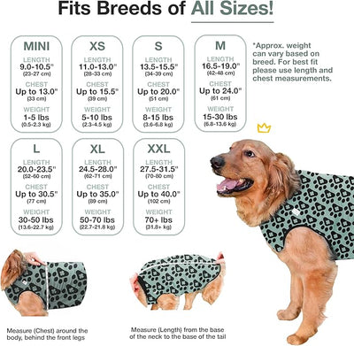 BellyGuard Dog Surgery Recovery Suit, Post-Op Dog Recovery Suit for Female Spay & Male Neuter, Comfy Onesie for Pets, Surgical Body Cover for Canine Healing Support