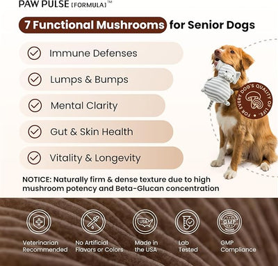 Pawpulse Formula Turkey Tail Mushroom for Dogs with Lion's Mane & Reishi – Senior Dog Supplement for Lipoma, Lumps & Bumps – Immune Support & Gut Health – 80 Count