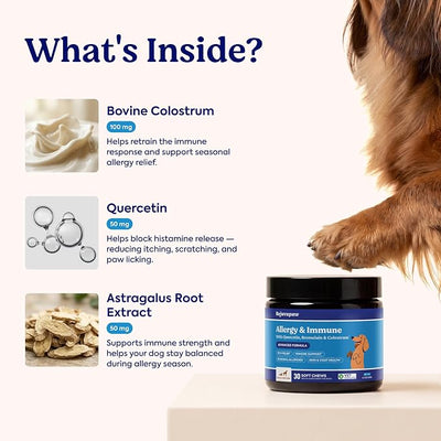Allergy & Immune Chews for Dogs – Itch Relief Support – Allergy Supplement with Vitamins – Skin & Immune Support with Colostrum, Quercetin & Astragalus – 30 Soft Chews