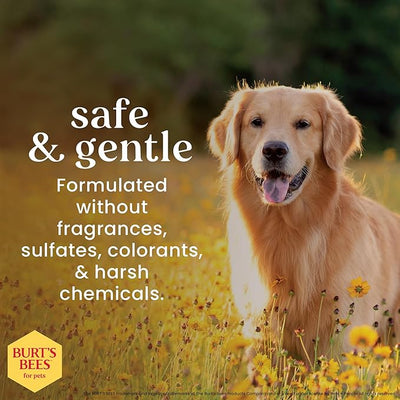 BURT'S BEES FOR PETS Dog Eye Wash with Saline Solution, Gentle Eye Cleaner for Dogs and Puppies, Tear Stain and Debris Rinse for Sensitive Eyes, Natural Origin Formula, 4 Fl Oz