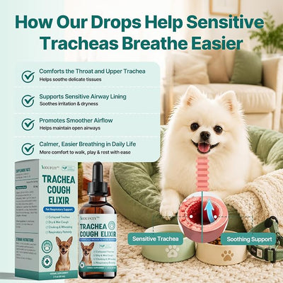 Collapsed Trachea Treatment for Dogs, Trachea Cough Elixir, Dog Cough Suppressant – Relieves Throat Irritation, Hoarseness, Gagging, Wheezing – 100% Natural Respiratory Support for Smooth Breathing
