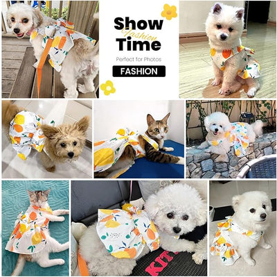 ABRRLO Cute Dog Dress Small Dog Clothes for Girls Female Puppy Outfits Yellow Lemon Pet Summer Clothes Bowknot Doggy Cat Princess Dress Harness for Holiday Birthday Party Costume Clothing (Yellow,XL)