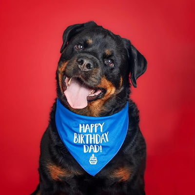 Happy Birthday Dad! Dog Bandana | 100% Cotton Adjustable Triangle | Made in USA | Birthday Party Supplies | Outfit Prop Photoshoot |Camo, One Size (171)