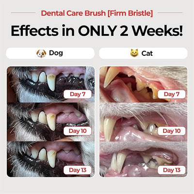JAYU PET Dental Care Brush (Firm Bristles) 3ea - Resilient Dog Toothbrush, Cat Toothbrush for Tartar & Plaque Removal, Horizontal Head and S-Curved Body