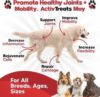 Glucosamine for Dogs Hip and Joint Supplement - Safe Joint Support for Dogs -Natural Dog Joint Supplement with Glucosamine Chondroitin MSM Turmeric for Dogs - 120 Joint Care Chews for Dogs ActivTreats