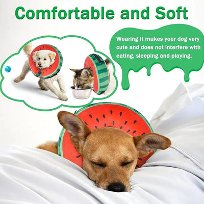 Recovery Donut Collar for Dogs & Cat,Inflatable Dog Collar Alternative After Surgery,Soft Cone for Large Medium Small Pet(Watermelon,X-Large)