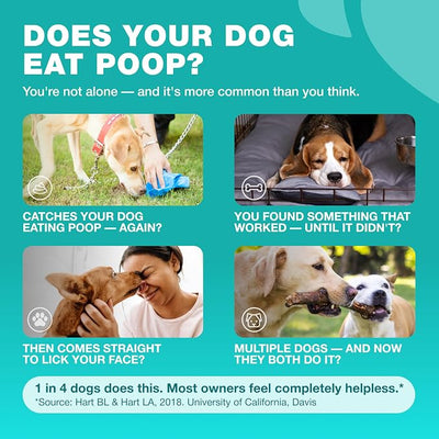 No Poo Chews for Dogs - Coprophagia Deterrent - Dog Probiotics for Digestive Health with Enzymes - Canine Stool Eating Deterrent - Digestive, Dental, Gut & Immune Health Treats - No Poop Eating