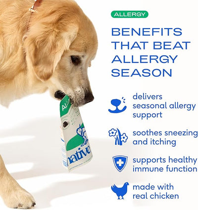 Native Pet Dog Allergy Chews - Dog Allergy Relief for Medium Breeds - Supports Seasonal Itch Relief, Healthy Immune Function & Reduces Sneezing - Colostrum, Spirulina, & Probiotics - 90 Days Supply