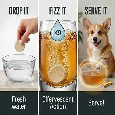 Dogs Electrolyte Supplement - Beef Broth – Hydration Support – 20 Tabs