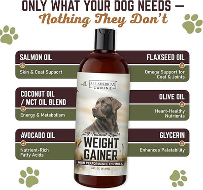 All American Canine Dog Weight Gainer Liquid – High Calorie Dog Food Supplement for Rapid Weight Gain, Mass, and Recovery – Appetite Stimulant (16 oz)