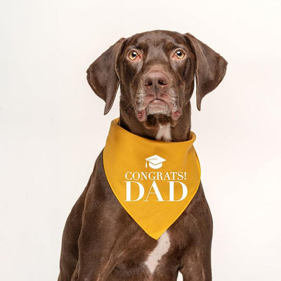 Congrats Dad Dog Bandana | 100% Cotton Tie Dye Triangle | Made in USA | Graduation | College | Senior Year | Family Support | Class of | One Size | Red Scrunch (420)