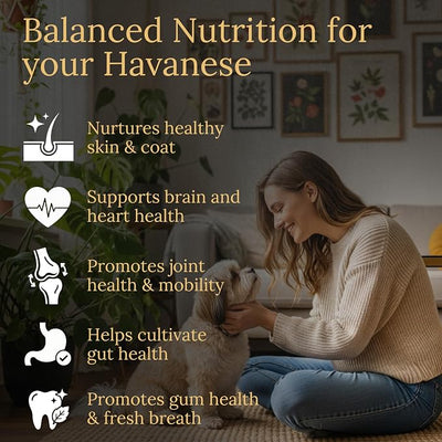 Havanese Multivitamins, 90 Count, Made in the USA with Real Bacon.