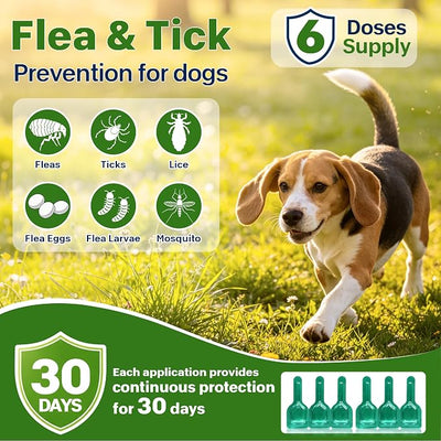 Flea and Tick Prevention for Small Medium Dogs, Waterproof Topical Dog Flea and Tick Fast-Acting at Home, 6 Doses Control for Dogs 5-43 lbs