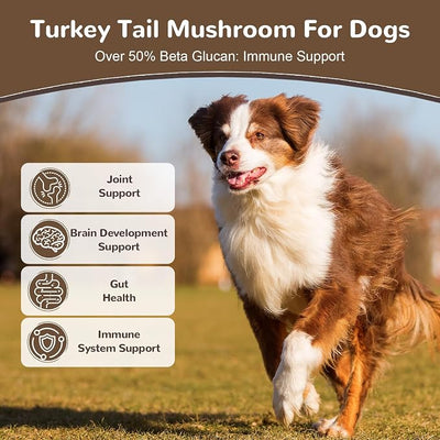 Turkey Tail Mushroom for Dogs & Cats, Organic 10 Mushroom Blend for Lipoma Lumps and Bumps, Dog Mushroom Supplements with 50% Beta Glucan, Joint Gut Immune Skin Support - 60g