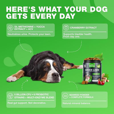 Grass Burn Spot Chews for Dogs - Urine Neutralizer for Lawn - Pee Lawn Spot Saver Caused by Urine - Probiotics, Enzymes & Multivitamins - Grass Saver Soft Treats for Canine Digestive and UTI Support
